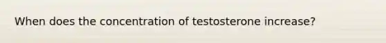 When does the concentration of testosterone increase?