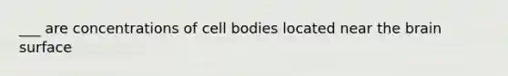 ___ are concentrations of cell bodies located near the brain surface