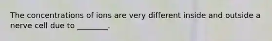 The concentrations of ions are very different inside and outside a nerve cell due to ________.