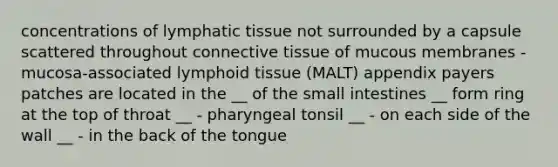 concentrations of lymphatic tissue not surrounded by a capsule scattered throughout connective tissue of mucous membranes - mucosa-associated lymphoid tissue (MALT) appendix payers patches are located in the __ of the small intestines __ form ring at the top of throat __ - pharyngeal tonsil __ - on each side of the wall __ - in the back of the tongue