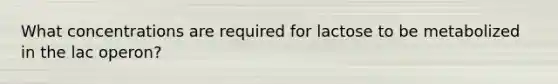 What concentrations are required for lactose to be metabolized in the lac operon?