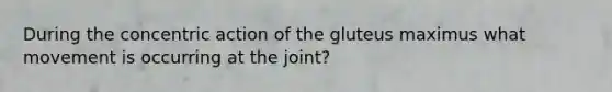 During the concentric action of the gluteus maximus what movement is occurring at the joint?