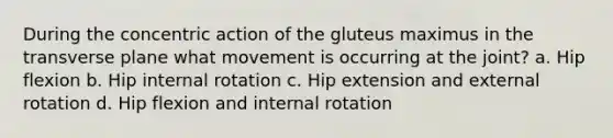 During the concentric action of the gluteus maximus in the transverse plane what movement is occurring at the joint? a. Hip flexion b. Hip internal rotation c. Hip extension and external rotation d. Hip flexion and internal rotation