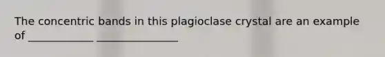The concentric bands in this plagioclase crystal are an example of ____________ _______________