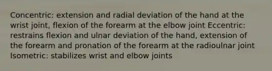 Concentric: extension and radial deviation of the hand at the wrist joint, flexion of the forearm at the elbow joint Eccentric: restrains flexion and ulnar deviation of the hand, extension of the forearm and pronation of the forearm at the radioulnar joint Isometric: stabilizes wrist and elbow joints