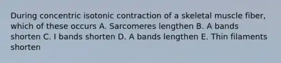 During concentric isotonic contraction of a skeletal muscle fiber, which of these occurs A. Sarcomeres lengthen B. A bands shorten C. I bands shorten D. A bands lengthen E. Thin filaments shorten