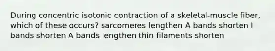 During concentric isotonic contraction of a skeletal-muscle fiber, which of these occurs? sarcomeres lengthen A bands shorten I bands shorten A bands lengthen thin filaments shorten