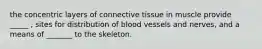 the concentric layers of connective tissue in muscle provide _____ , sites for distribution of blood vessels and nerves, and a means of _______ to the skeleton.