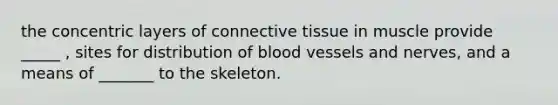 the concentric layers of connective tissue in muscle provide _____ , sites for distribution of blood vessels and nerves, and a means of _______ to the skeleton.