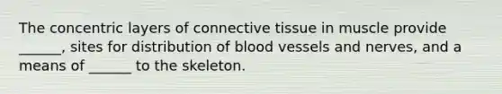 The concentric layers of connective tissue in muscle provide ______, sites for distribution of blood vessels and nerves, and a means of ______ to the skeleton.