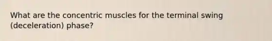 What are the concentric muscles for the terminal swing (deceleration) phase?