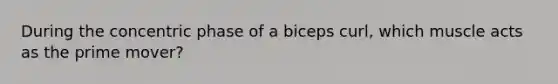 During the concentric phase of a biceps curl, which muscle acts as the prime mover?