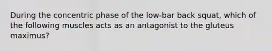 During the concentric phase of the low-bar back squat, which of the following muscles acts as an antagonist to the gluteus maximus?