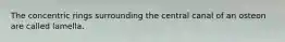 The concentric rings surrounding the central canal of an osteon are called lamella.