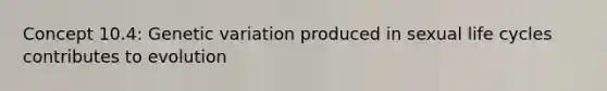 Concept 10.4: Genetic variation produced in sexual life cycles contributes to evolution