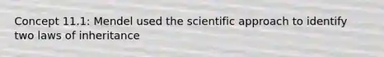 Concept 11.1: Mendel used the scientific approach to identify two laws of inheritance