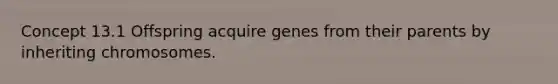 Concept 13.1 Offspring acquire genes from their parents by inheriting chromosomes.