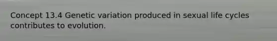 Concept 13.4 Genetic variation produced in sexual life cycles contributes to evolution.