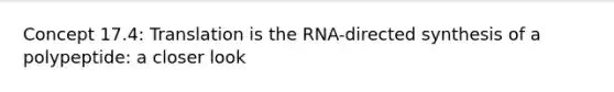 Concept 17.4: Translation is the RNA-directed synthesis of a polypeptide: a closer look