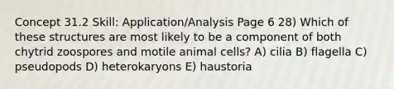 Concept 31.2 Skill: Application/Analysis Page 6 28) Which of these structures are most likely to be a component of both chytrid zoospores and motile animal cells? A) cilia B) flagella C) pseudopods D) heterokaryons E) haustoria