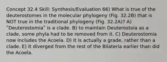 Concept 32.4 Skill: Synthesis/Evaluation 66) What is true of the deuterostomes in the molecular phylogeny (Fig. 32.2B) that is NOT true in the traditional phylogeny (Fig. 32.2A)? A) ʺDeuterostomiaʺ is a clade. B) to maintain Deuterostoia as a clade, some phyla had to be removed from it. C) Deuterostomia now includes the Acoela. D) It is actually a grade, rather than a clade. E) It diverged from the rest of the Bilateria earlier than did the Acoela.