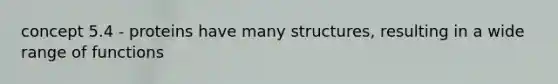 concept 5.4 - proteins have many structures, resulting in a wide range of functions