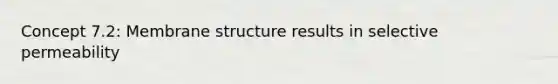 Concept 7.2: Membrane structure results in selective permeability