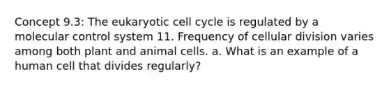 Concept 9.3: The eukaryotic cell cycle is regulated by a molecular control system 11. Frequency of cellular division varies among both plant and animal cells. a. What is an example of a human cell that divides regularly?