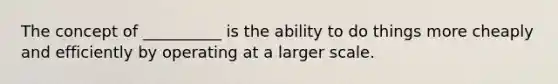 The concept of __________ is the ability to do things more cheaply and efficiently by operating at a larger scale.