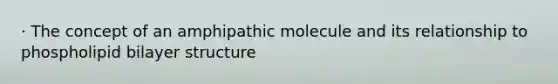 · The concept of an amphipathic molecule and its relationship to phospholipid bilayer structure