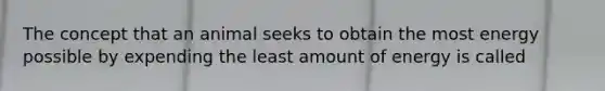 The concept that an animal seeks to obtain the most energy possible by expending the least amount of energy is called