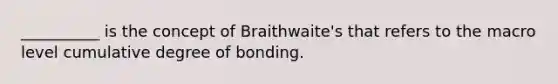 __________ is the concept of Braithwaite's that refers to the macro level cumulative degree of bonding.