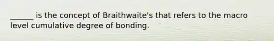 ______ is the concept of Braithwaite's that refers to the macro level cumulative degree of bonding.