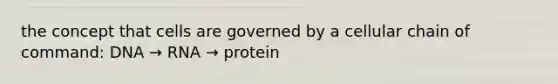 the concept that cells are governed by a cellular chain of command: DNA → RNA → protein