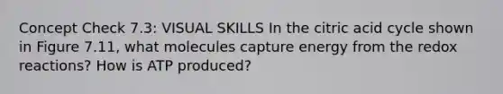 Concept Check 7.3: VISUAL SKILLS In the citric acid cycle shown in Figure 7.11, what molecules capture energy from the redox reactions? How is ATP produced?