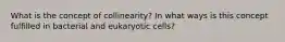 What is the concept of collinearity? In what ways is this concept fulfilled in bacterial and eukaryotic cells?