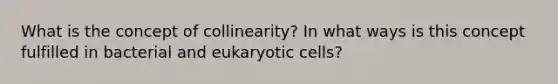 What is the concept of collinearity? In what ways is this concept fulfilled in bacterial and <a href='https://www.questionai.com/knowledge/kb526cpm6R-eukaryotic-cells' class='anchor-knowledge'>eukaryotic cells</a>?