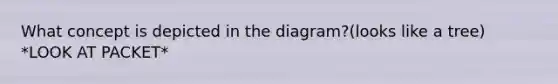 What concept is depicted in the diagram?(looks like a tree) *LOOK AT PACKET*