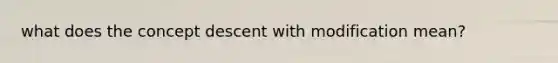 what does the concept descent with modification mean?