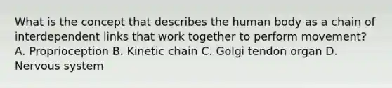 What is the concept that describes the human body as a chain of interdependent links that work together to perform movement? A. Proprioception B. Kinetic chain C. Golgi tendon organ D. Nervous system