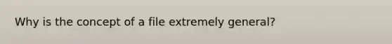 Why is the concept of a file extremely general?