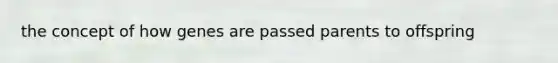 the concept of how genes are passed parents to offspring