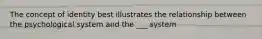 The concept of identity best illustrates the relationship between the psychological system and the ___ system