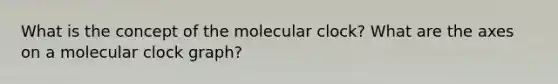 What is the concept of the molecular clock? What are the axes on a molecular clock graph?