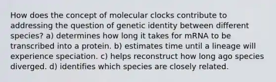 How does the concept of molecular clocks contribute to addressing the question of genetic identity between different species? a) determines how long it takes for mRNA to be transcribed into a protein. b) estimates time until a lineage will experience speciation. c) helps reconstruct how long ago species diverged. d) identifies which species are closely related.