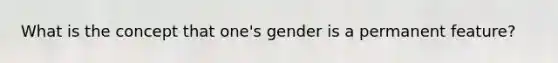 What is the concept that one's gender is a permanent feature?