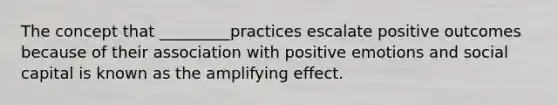 The concept that _________practices escalate positive outcomes because of their association with positive emotions and social capital is known as the amplifying effect.