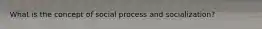 What is the concept of social process and socialization?