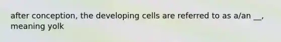 after conception, the developing cells are referred to as a/an __, meaning yolk