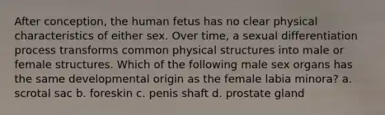 After conception, the human fetus has no clear physical characteristics of either sex. Over time, a sexual differentiation process transforms common physical structures into male or female structures. Which of the following male sex organs has the same developmental origin as the female labia minora? a. scrotal sac b. foreskin c. penis shaft d. prostate gland